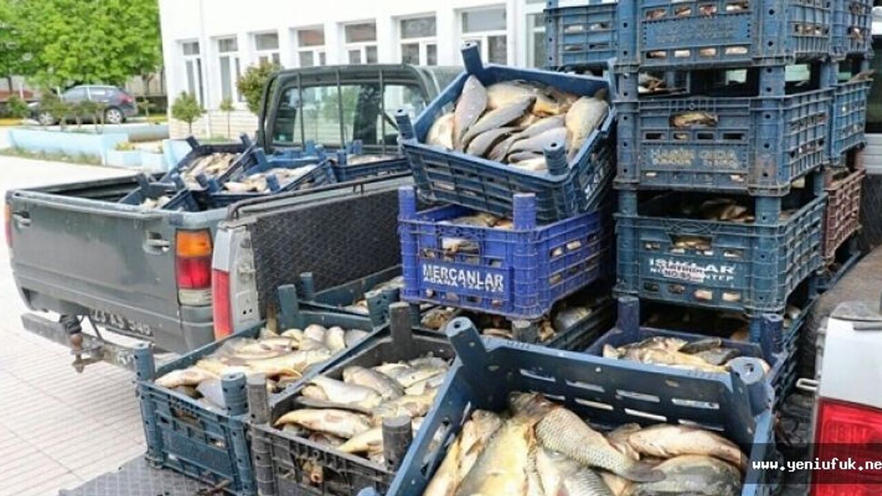 700 KİLO KAÇAK AVLANAN BALIK ELE GEÇİRİLDİ