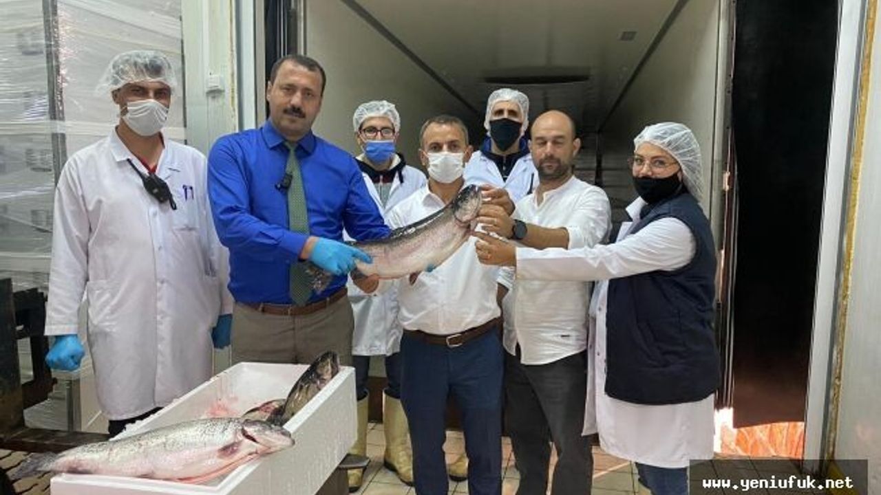 Elazığ’da Üretilip Rusya, Japonya ve A.B.D’ye İhraç Ediliyor