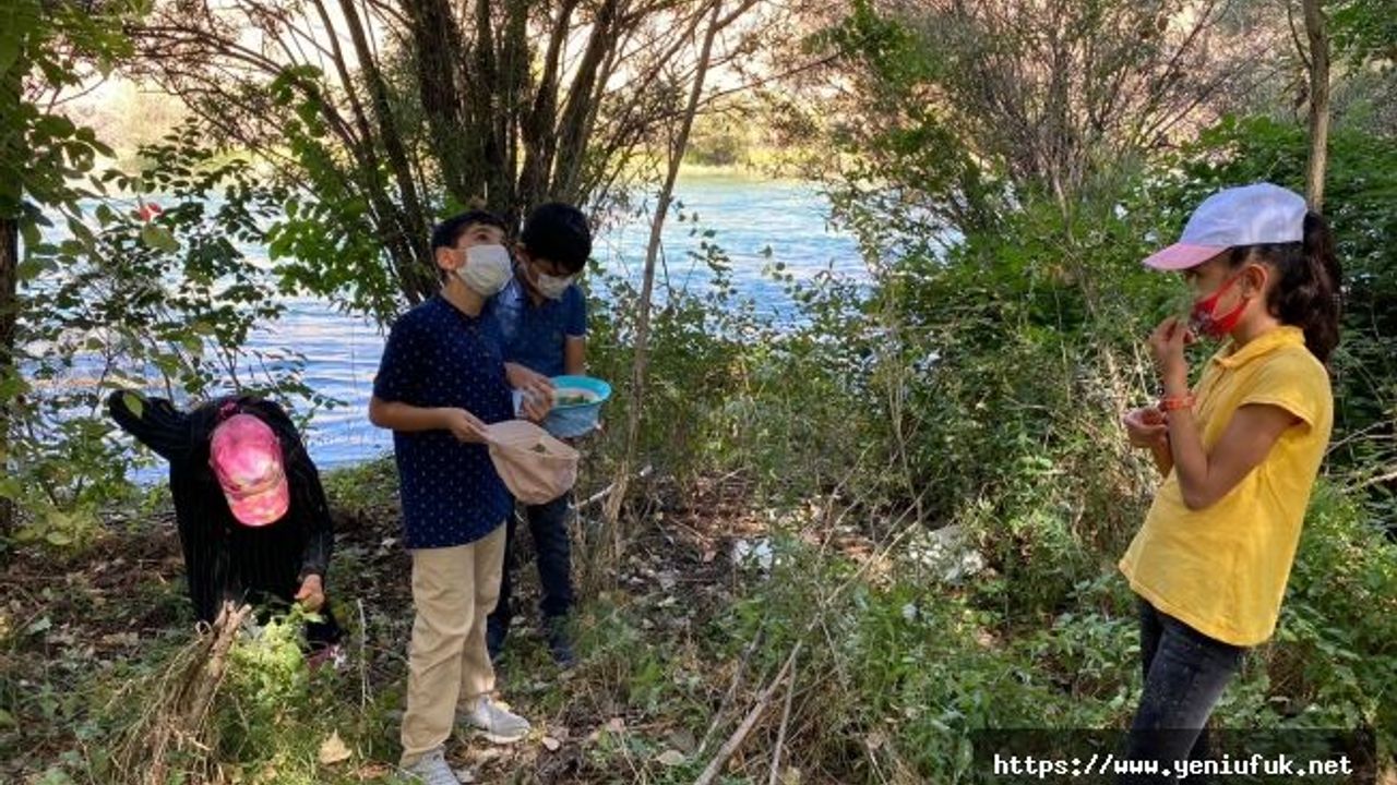 "Doğa Kaşifi" Projesi Tüm Hızlıyla Devam Ediyor