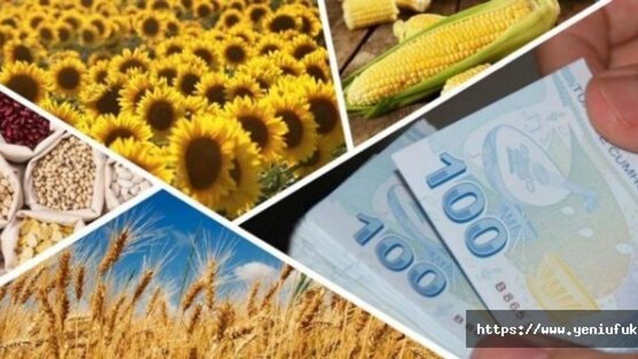 BAKLAGİL TOHUMU ALACAK ÇİFTÇİLER KURAYLA BELİRLENDİ