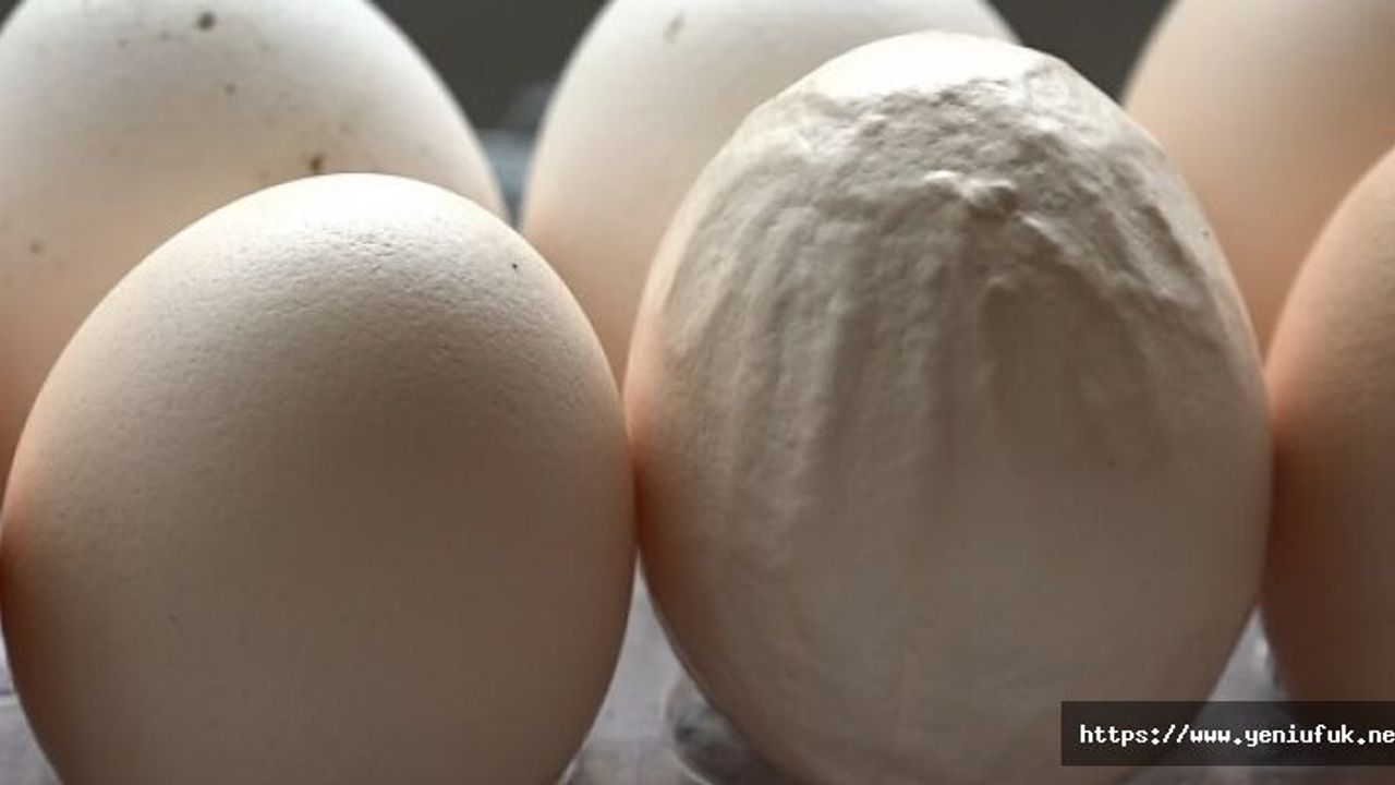 ÜZERİNDE "ALLAH" YAZAN YUMURTA GÖRENLERİ HAYRAN BIRAKTI