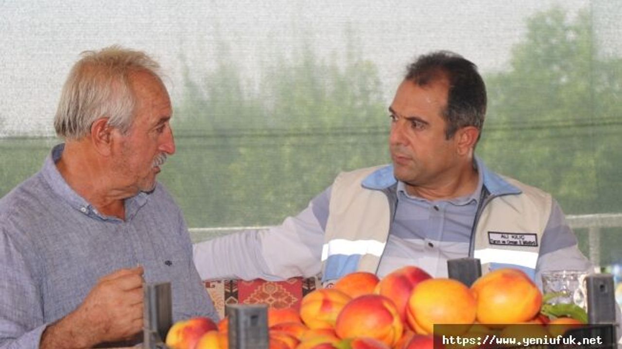 ŞEFTALİ ENTEGRE BAHÇELERİNDE HASAT DEVAM EDİYOR