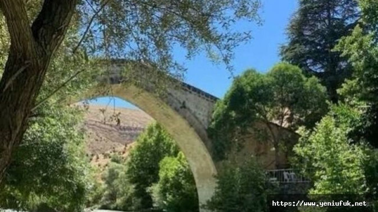 Çemişgezek’te Tagar Vadisi İçin Kritik Dava: Habitatımıza Dokunmayın