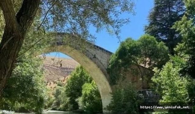 Çemişgezek’te Tagar Vadisi İçin Kritik Dava: Habitatımıza Dokunmayın