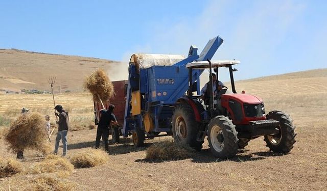 Kırmızı Mercimek Hasadına Alatarla’da Başlandı